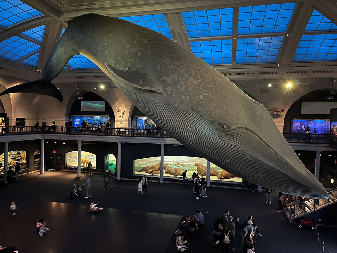 Descubre las atracciones turísticas imprescindibles de Nueva York