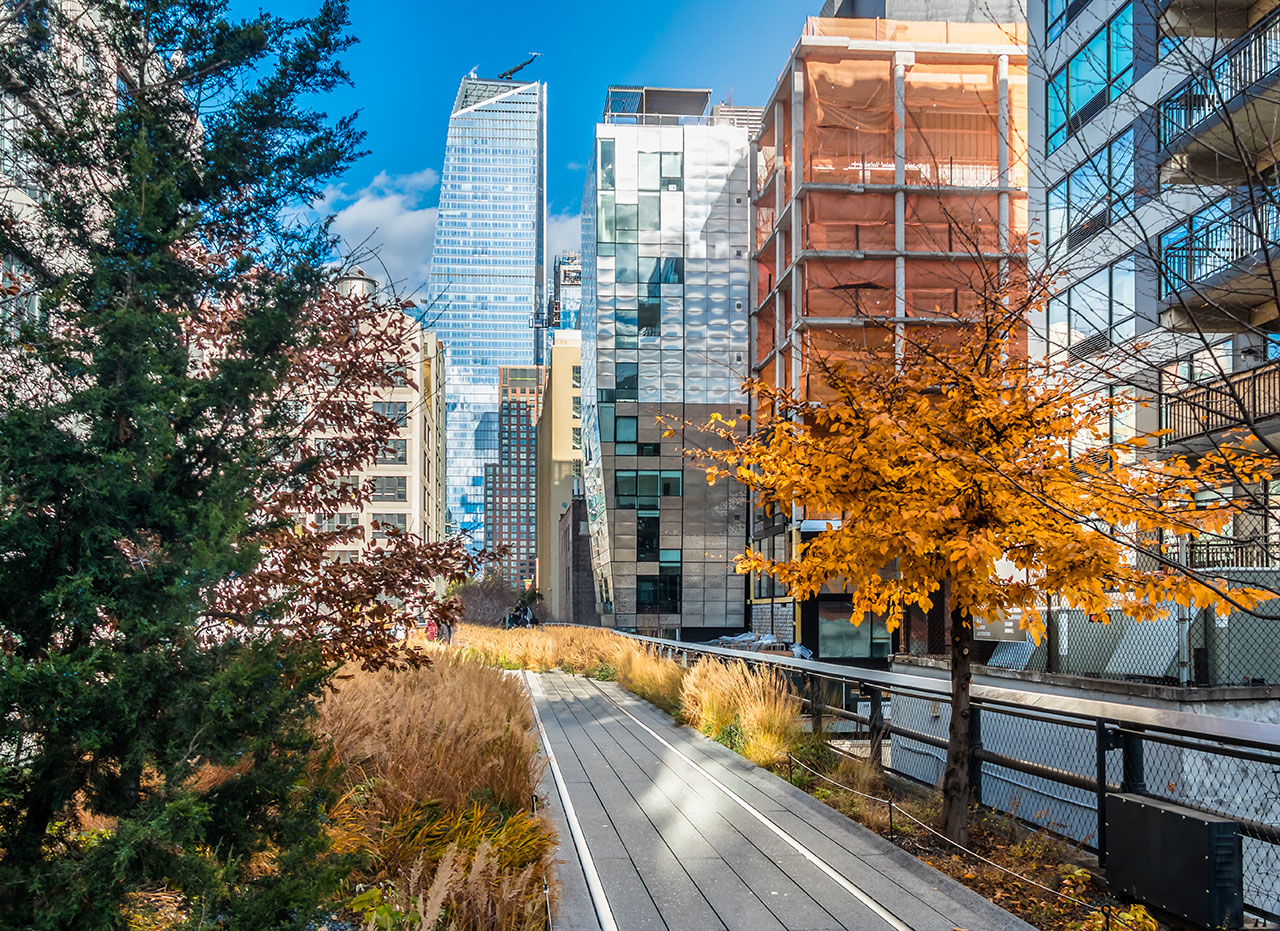 Ecoturismo y museos en Nueva York: descubriendo la naturaleza y el entorno urbano